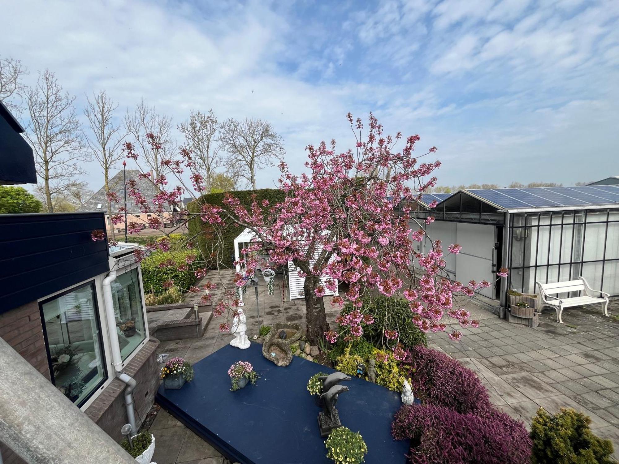 B&B Dol - Fijn Benningbroek Bagian luar foto
